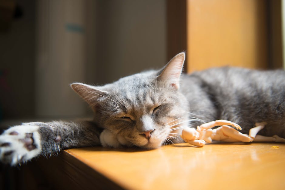  Cat7 Kabel Erklärung